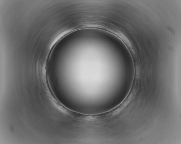X0000115770814200911131216