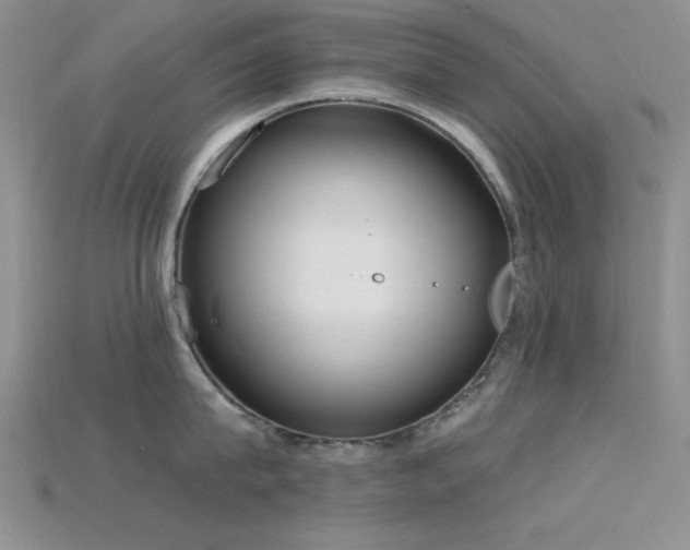X0000115770815200911131216