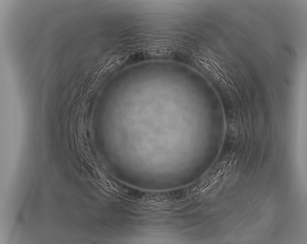 X0000115770817200911131215