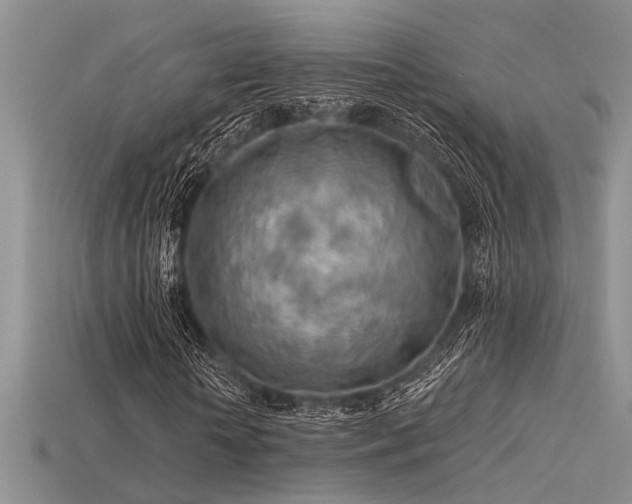 X0000115770818200911131215