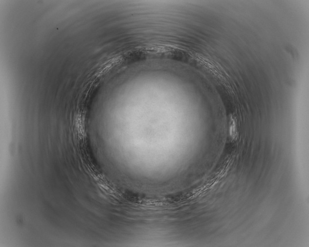 X0000115770819200911131215