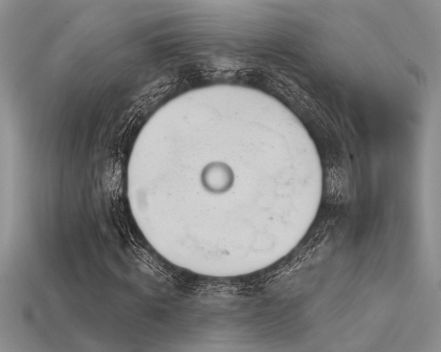 X0000115770820200911131215