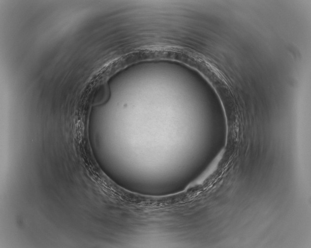 X0000115770821200911131215