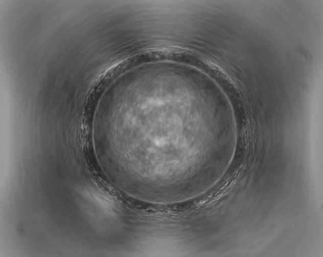 X0000115770822200911131215