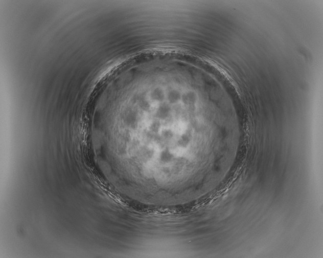X0000115770823200911131215