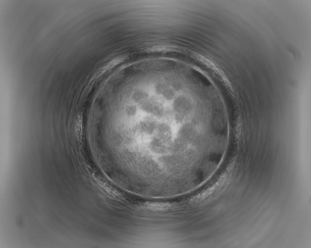 X0000115770825200911131215