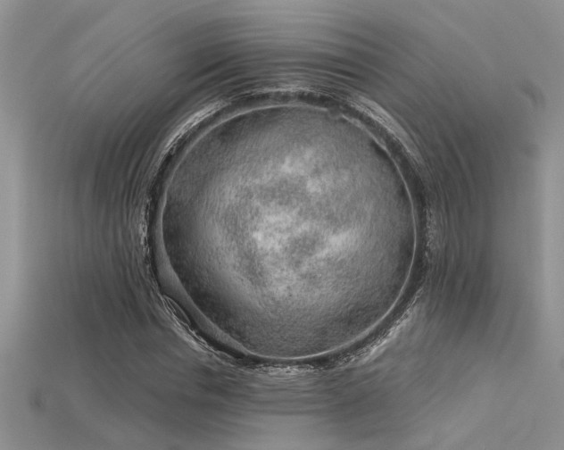 X0000115770826200911131215
