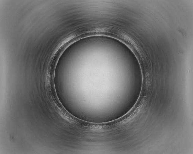 X0000115770827200911131215