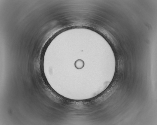 X0000115770828200911131215