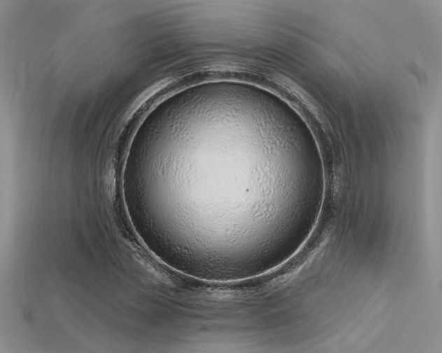 X0000115770829200911131215