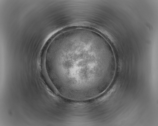 X0000115770830200911131215