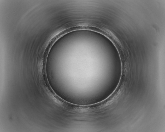 X0000115770831200911131215