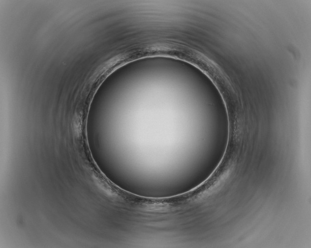 X0000115770833200911131215