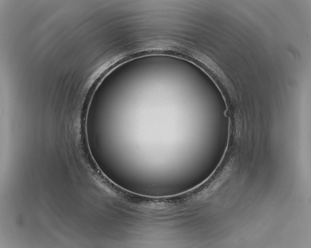 X0000115770834200911131215