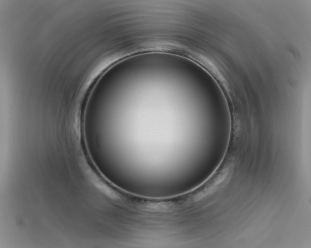 X0000115770843200911131215