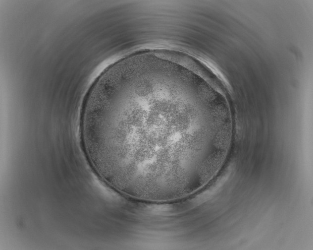 X0000115770845200911131215