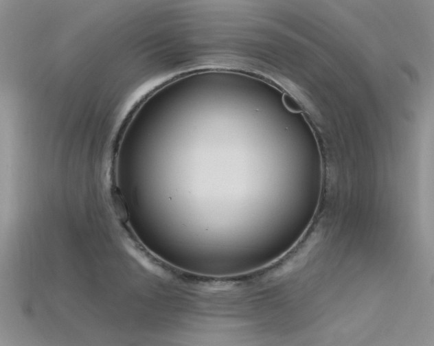 X0000115770846200911131215