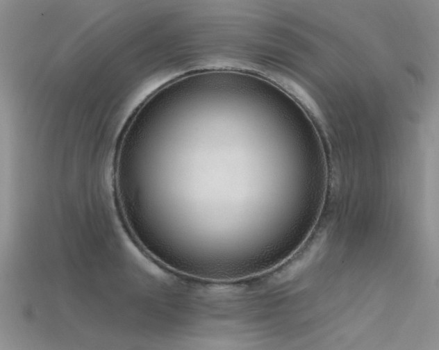 X0000115770847200911131215