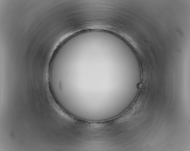 X0000115770848200911131215