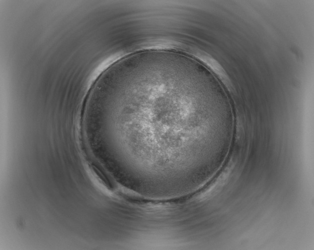 X0000115770850200911131215