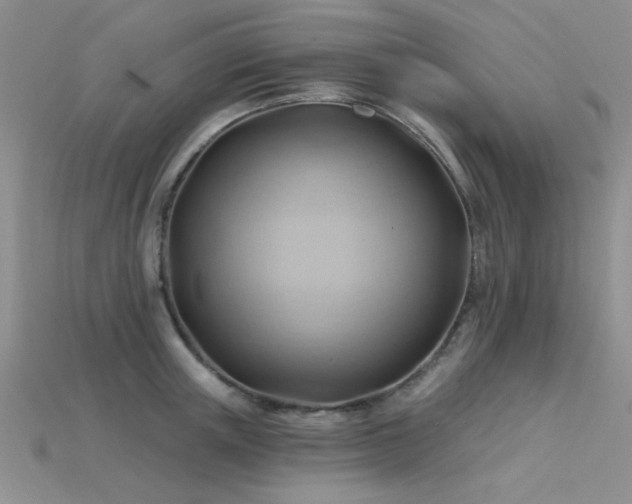 X0000115770851200911131215