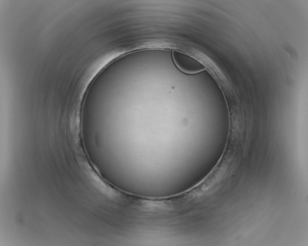 X0000115770852200911131215