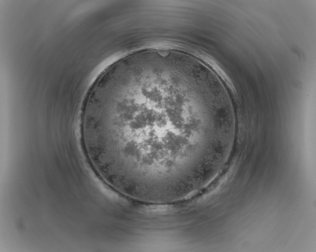 X0000115770853200911131215