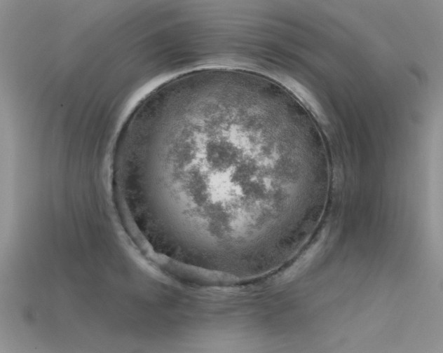 X0000115770854200911131215