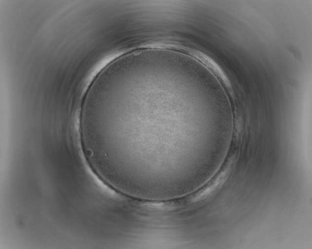 X0000115770855200911131215