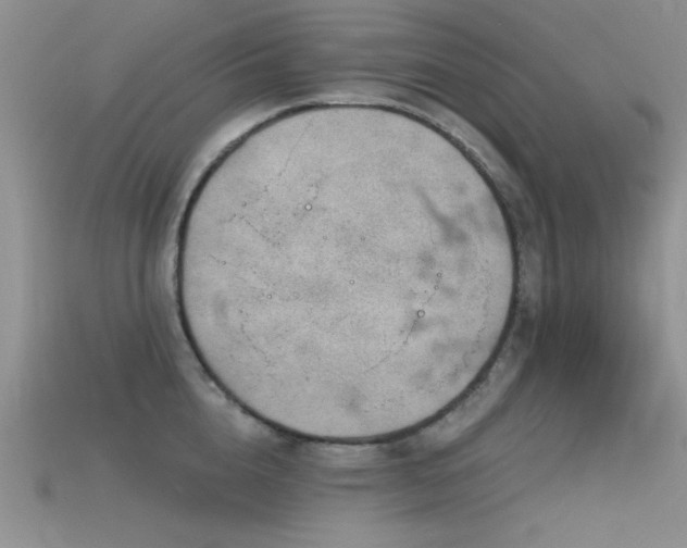 X0000115770856200911131215