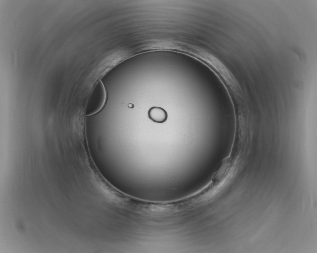 X0000115770857200911131215