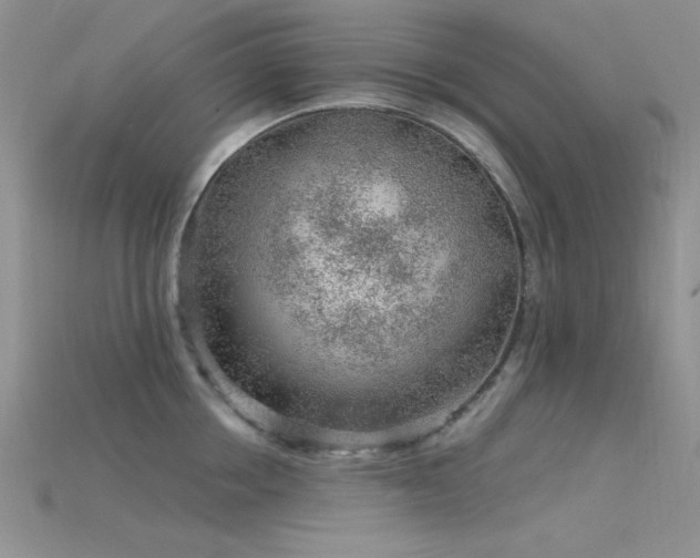X0000115770858200911131215
