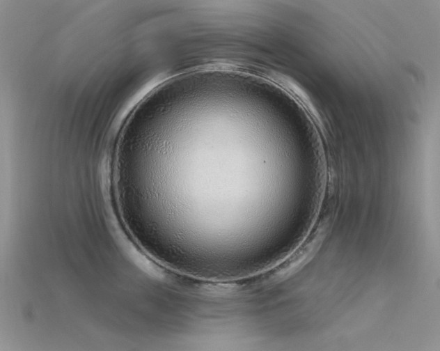 X0000115770859200911131215