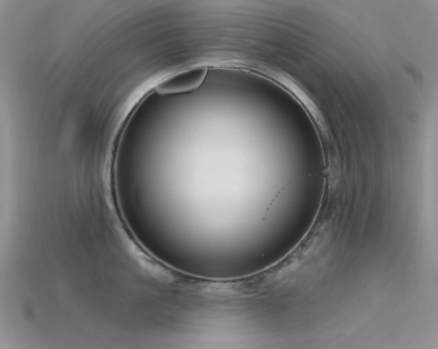 X0000115770861200911131215