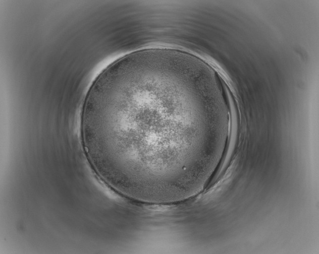 X0000115770862200911131215