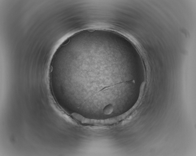 X0000115770864200911131215