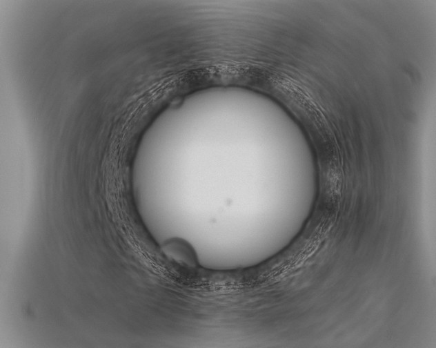 X0000115770865200911131215