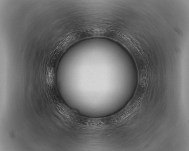 X0000115770866200911131215