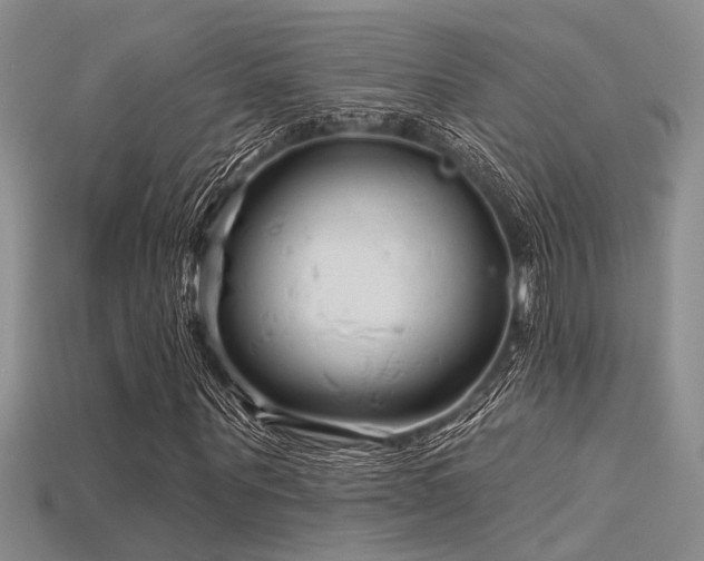 X0000115770867200911131215