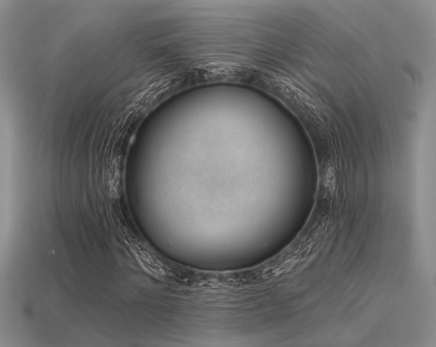 X0000115770868200911131215