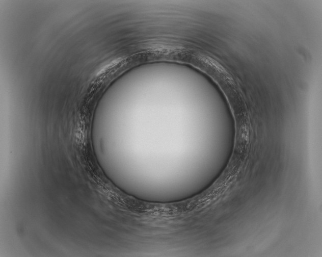 X0000115770869200911131215