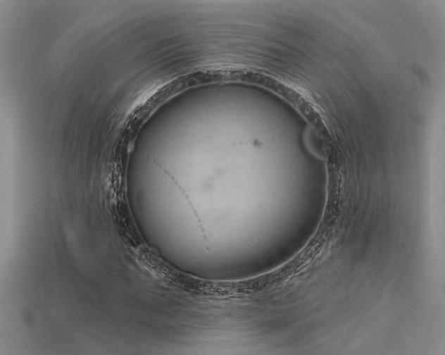 X0000115770871200911131215