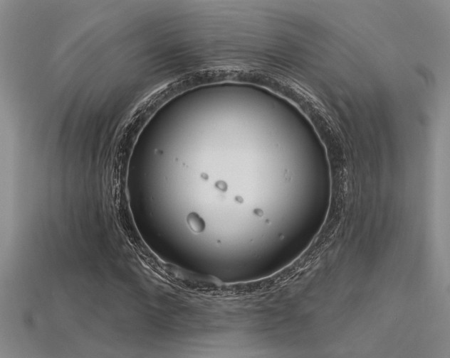 X0000115770872200911131215