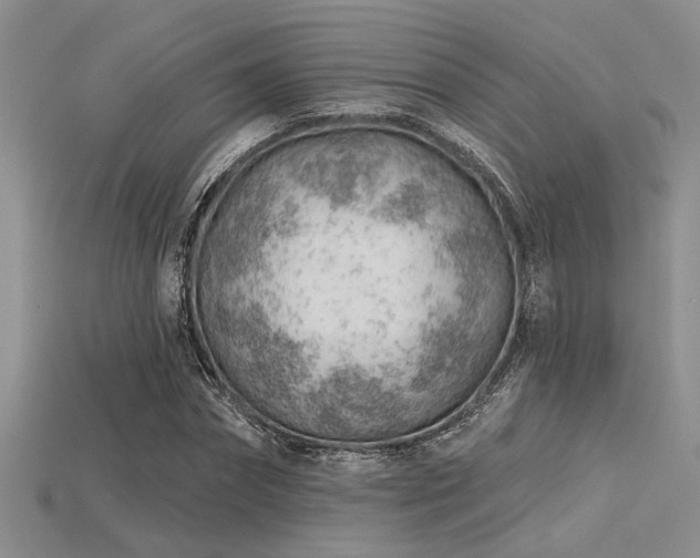 X0000115770874200911131215