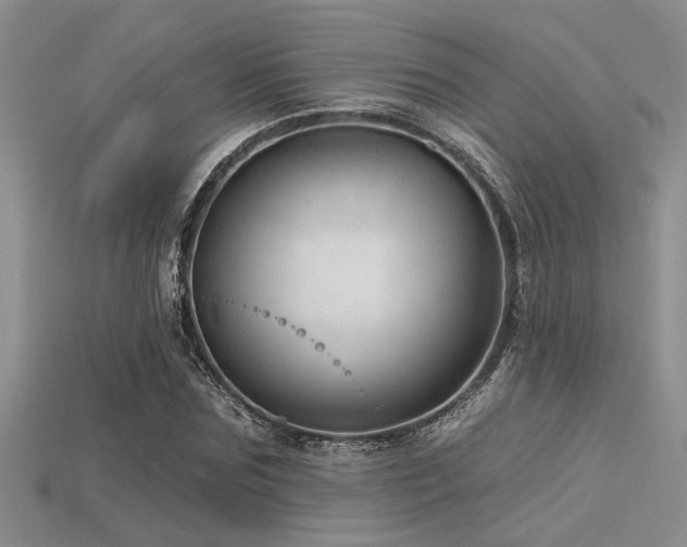 X0000115770875200911131215