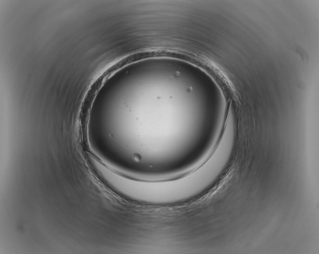 X0000115770876200911131215