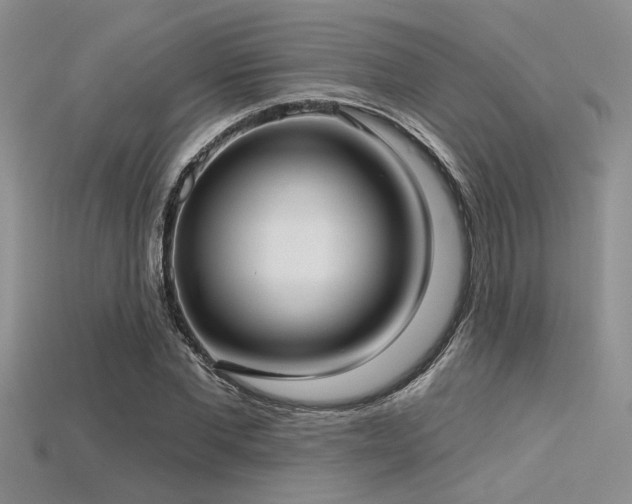 X0000115770877200911131215