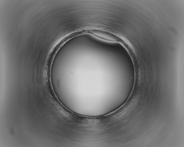 X0000115770878200911131215