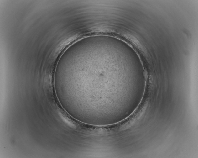 X0000115770881200911131215