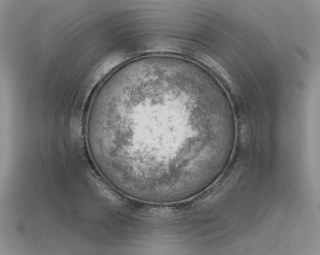 X0000115770882200911131215